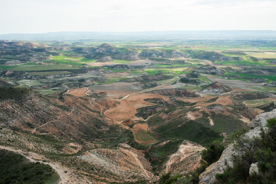 bardenas